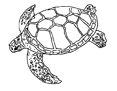 Free Turtle Outline Cliparts, Download Free Clip Art, Free