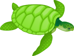clipart sea turtle realistic