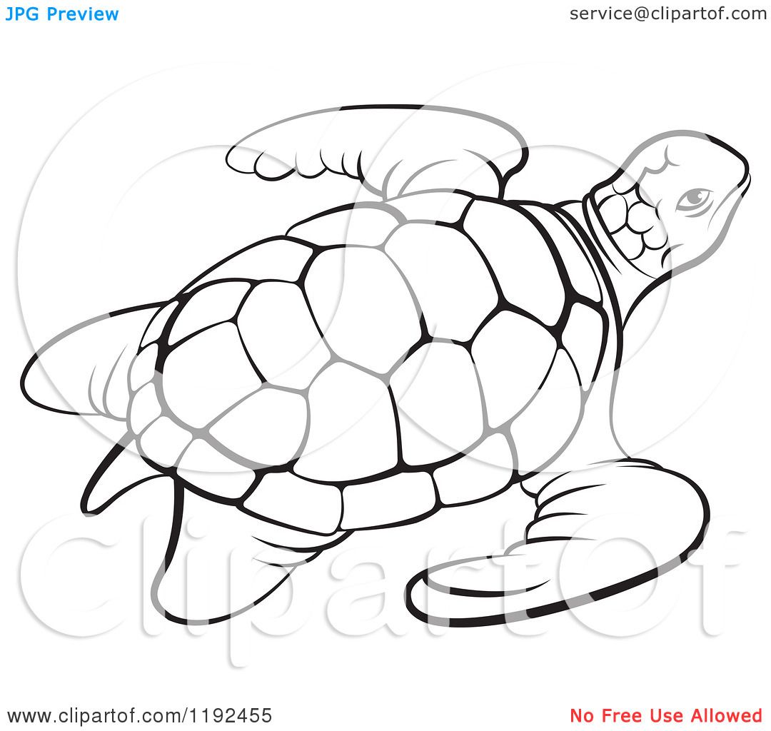 Clipart of a Black and White Sea Turtle