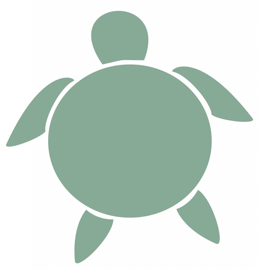 Free turtle outline.