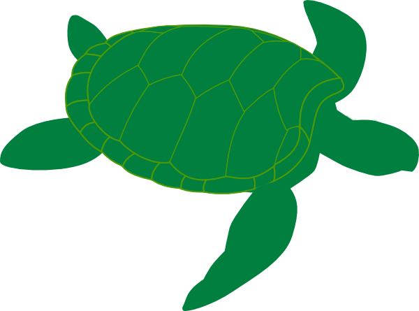 Sea turtle swimming.