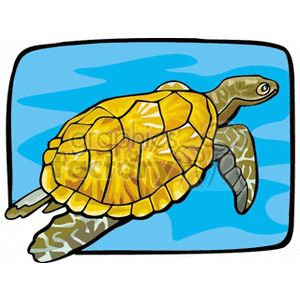 Marine sea turtle swimming in blue water clipart