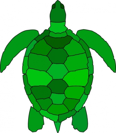 Free Sea Turtle Graphic, Download Free Clip Art, Free Clip