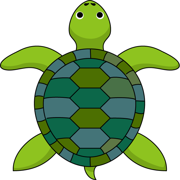 Turtle clipart top.