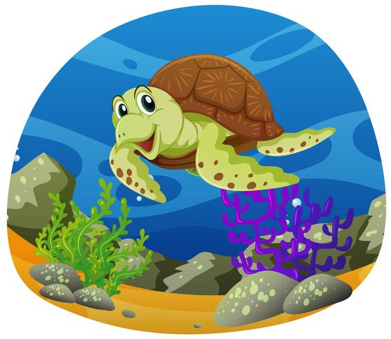 Sea turtle swimming under the sea