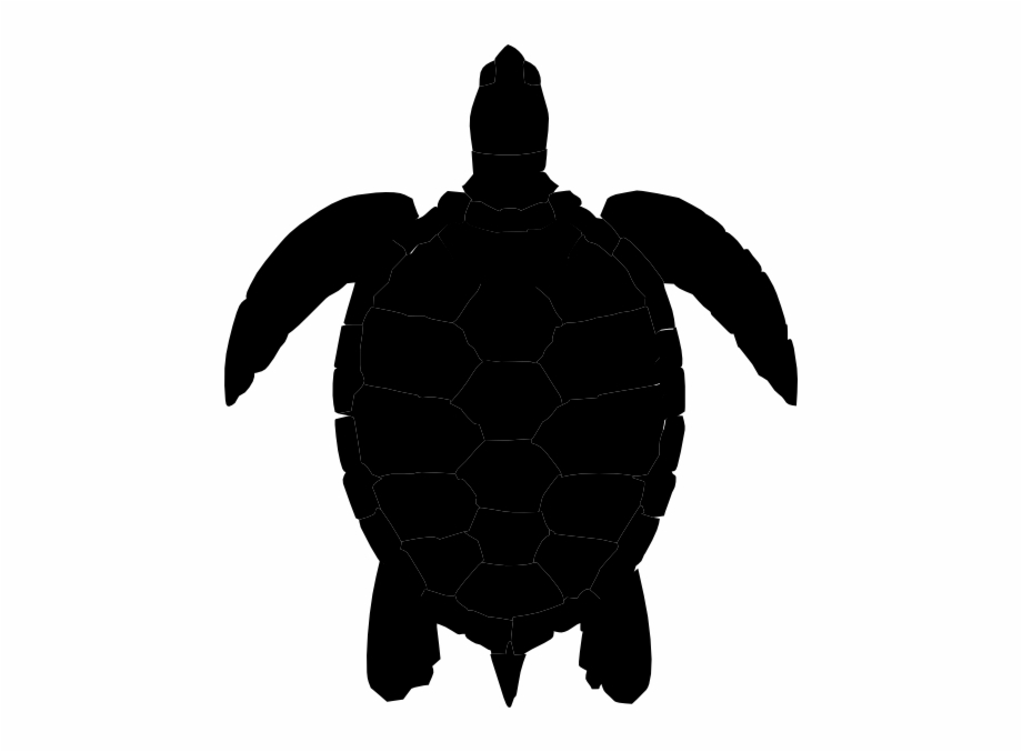 Plum sea turtle.