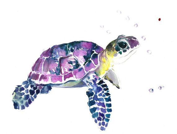 Turtle clipart green and purple