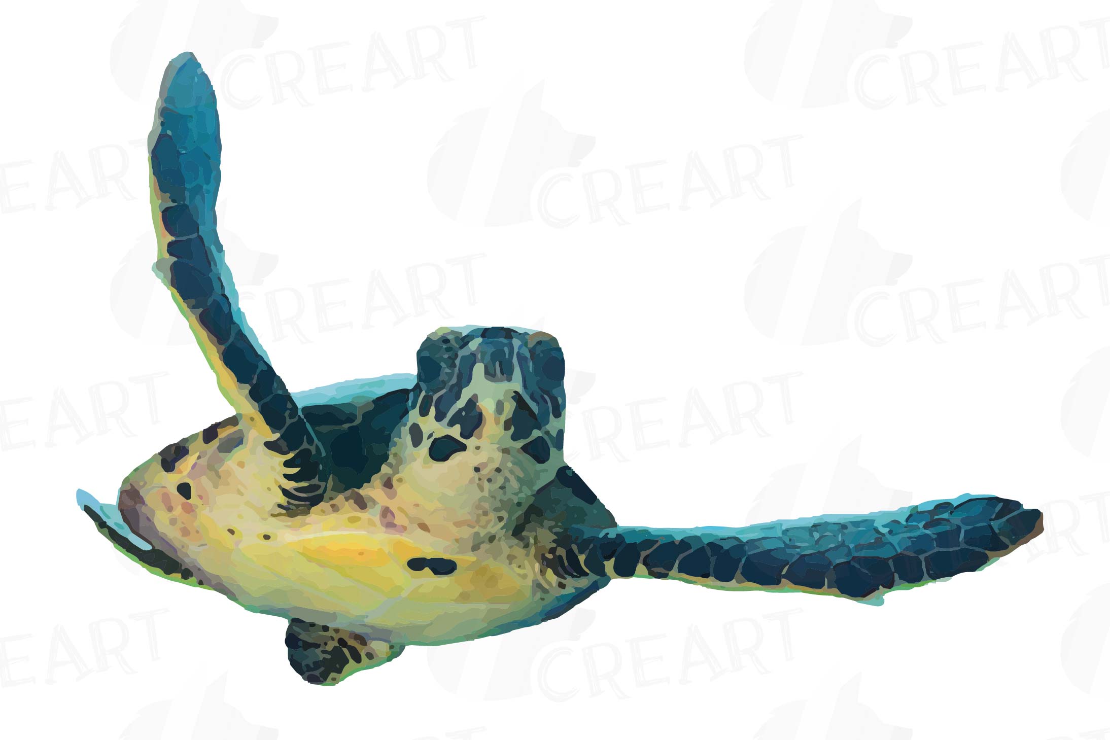 Watercolor sea turtles clip art pack, colorful turtles