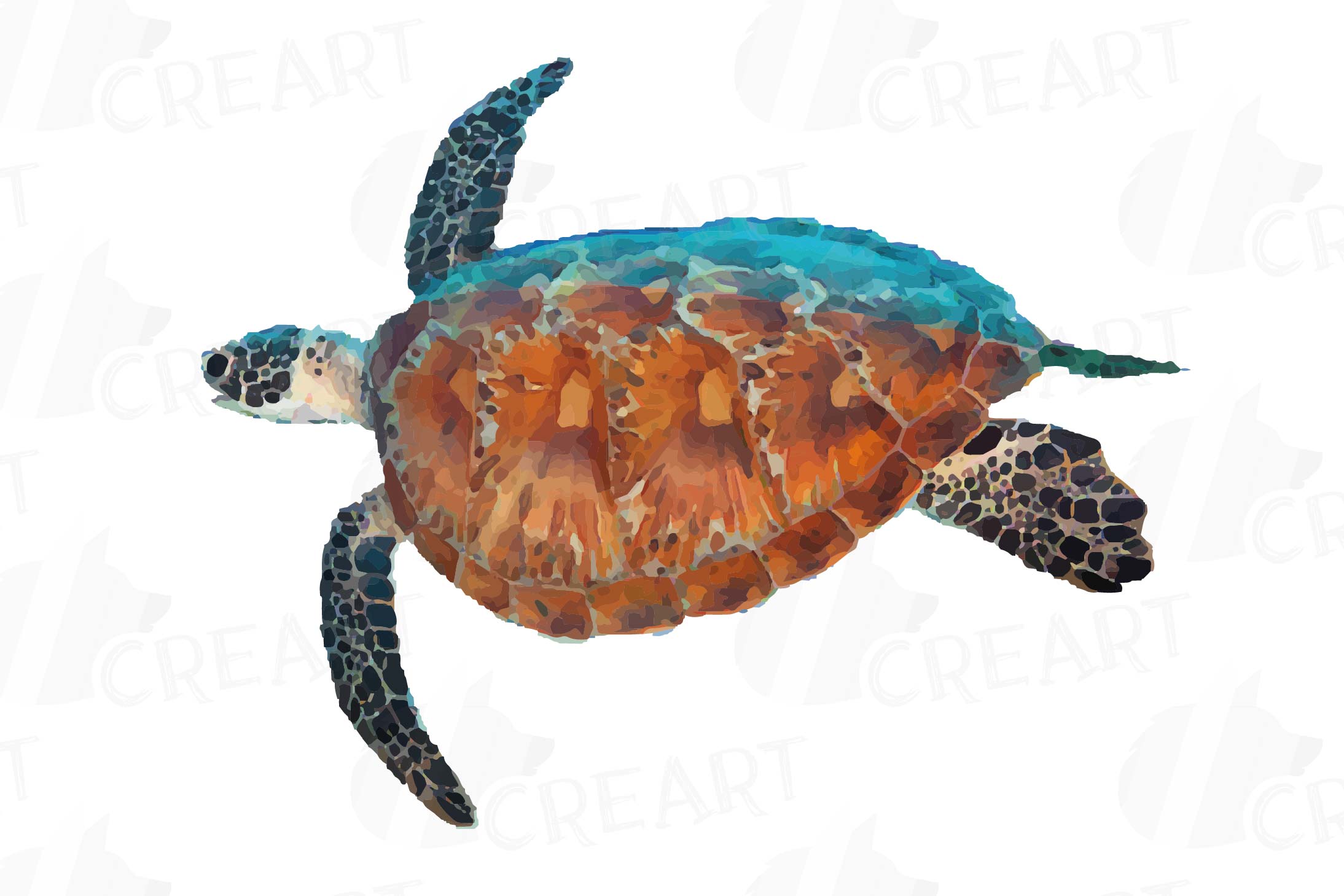 Watercolor sea turtle.