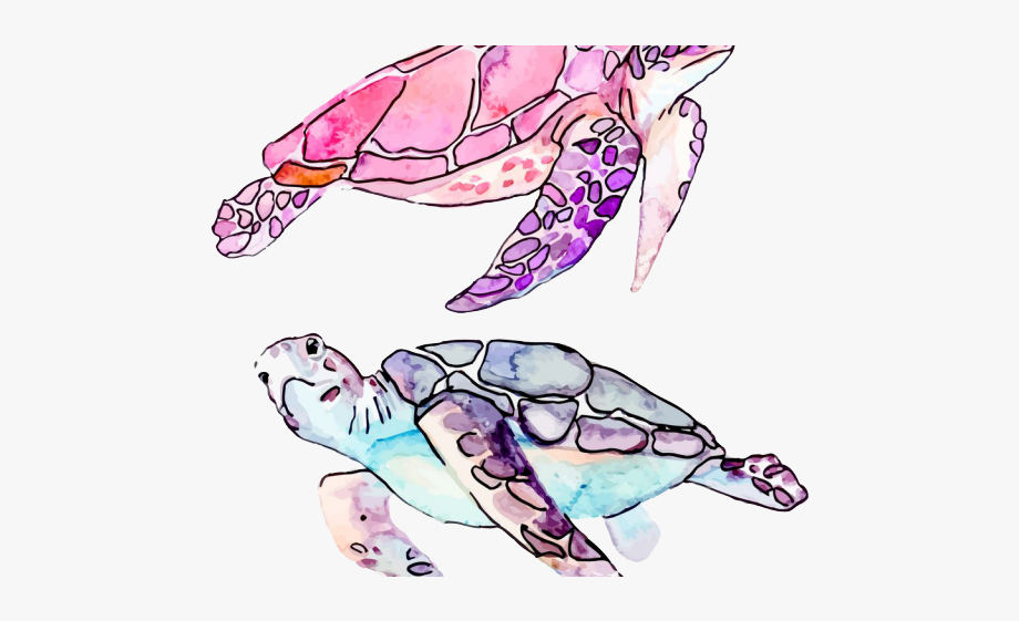 Watercolor Clipart Sea Turtle