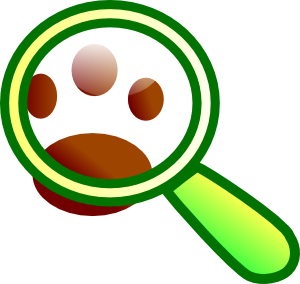 clipart search finding