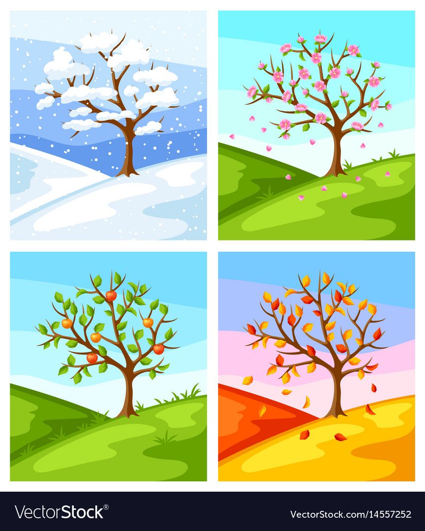 Four seasons of tree and landscape Royalty Free Vector Image