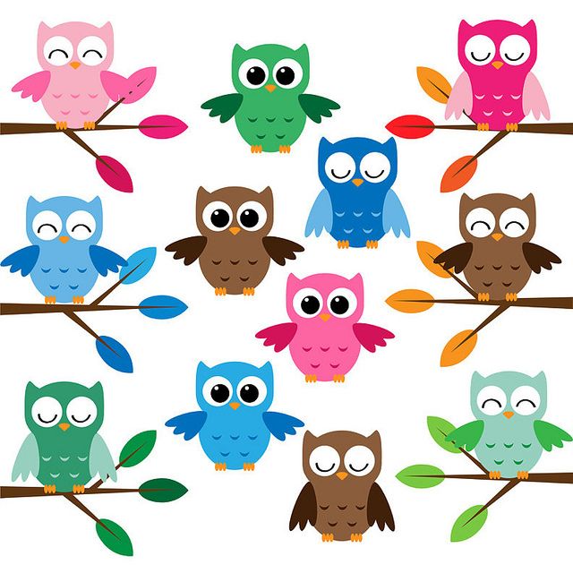 Cute owls clip art set