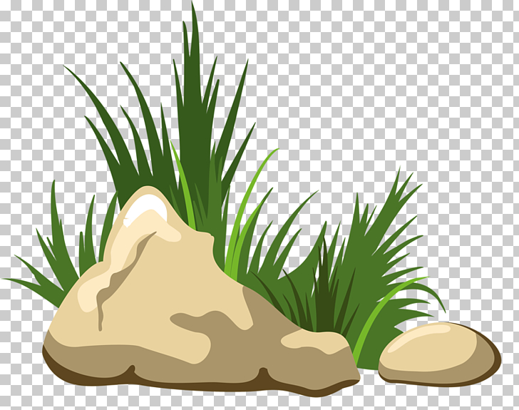 Rock grass stone.