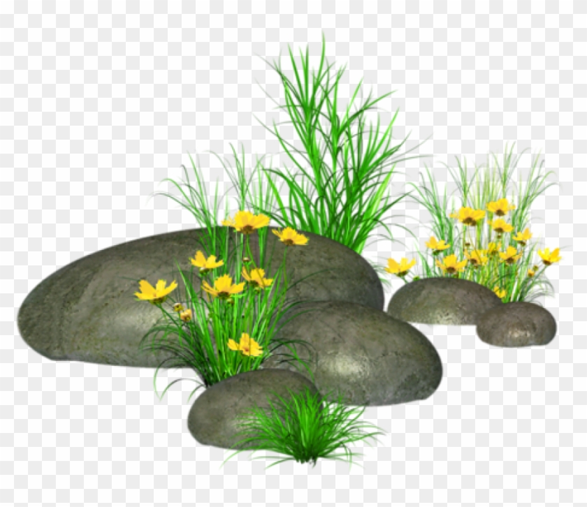 Free Png Stones With Grass And Yellow Flowers Png Images
