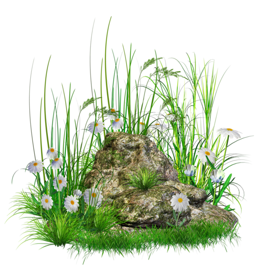 Stone with Grass and Flowers png Clipart