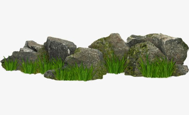 clipart stone grass