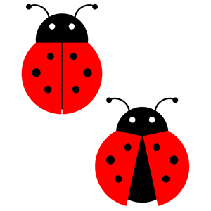 Ladybug clipart, cliparts of Ladybug free download