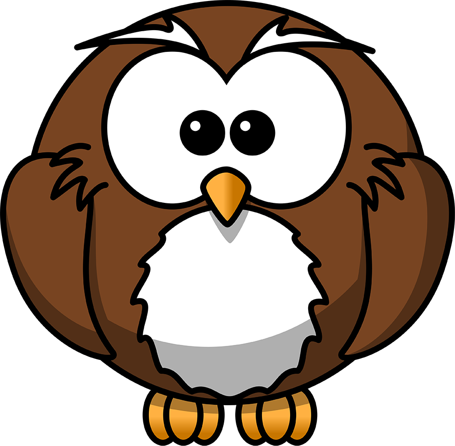 Owl Cartoon Drawing Animation