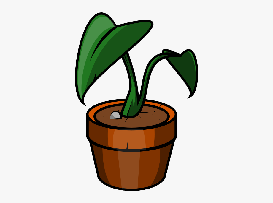 Potted plants clipart.