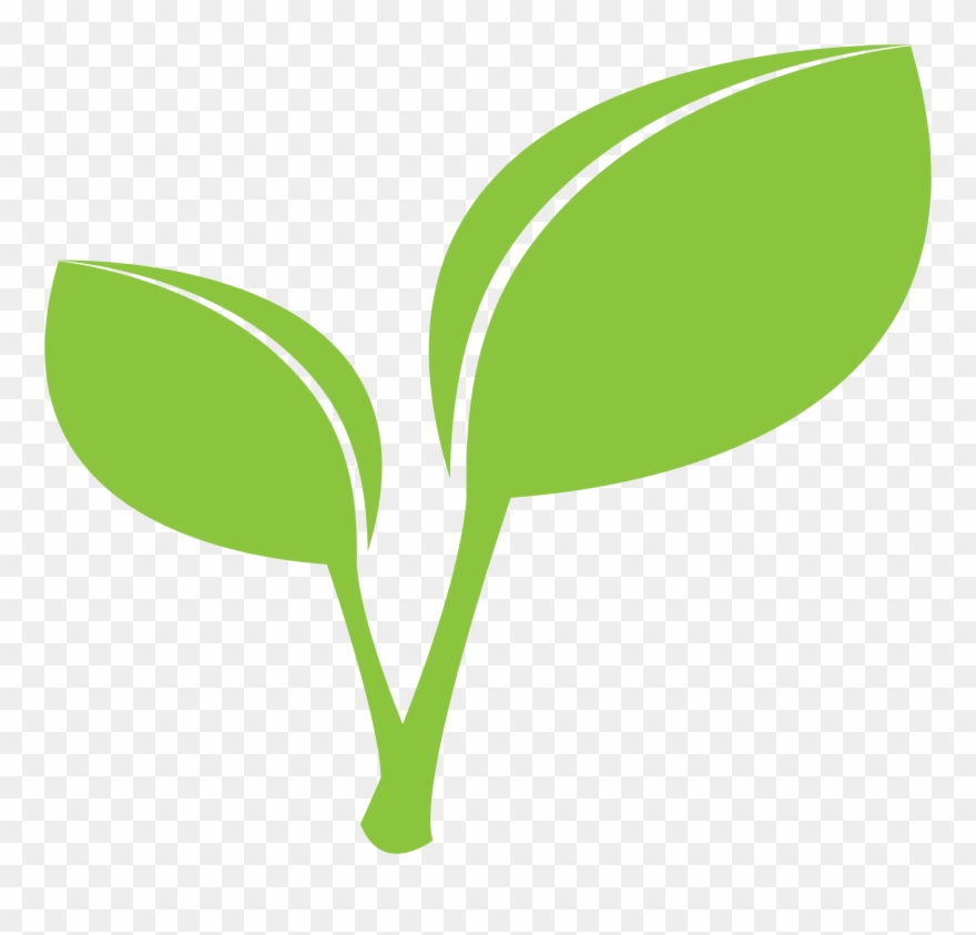 Clipart green leaf.