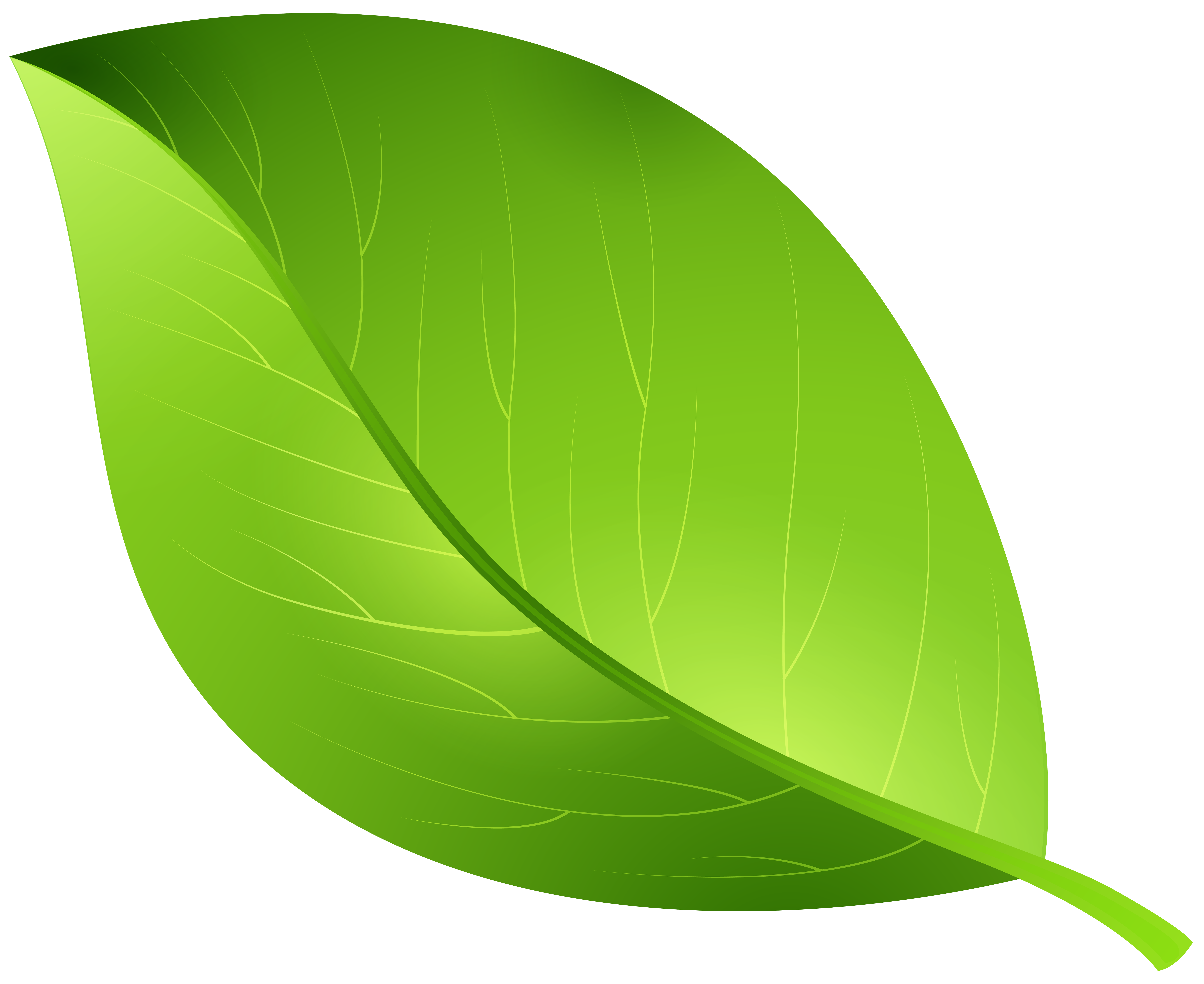 Cartoon green leaf.