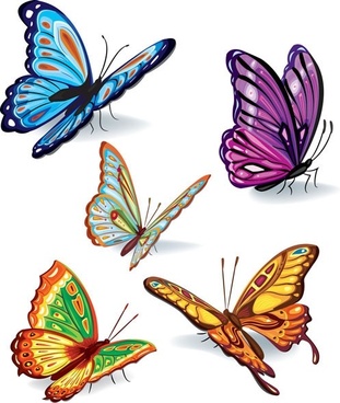 Butterfly free vector download