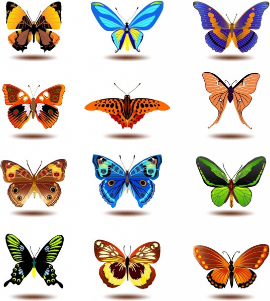 Monarch butterfly vector free