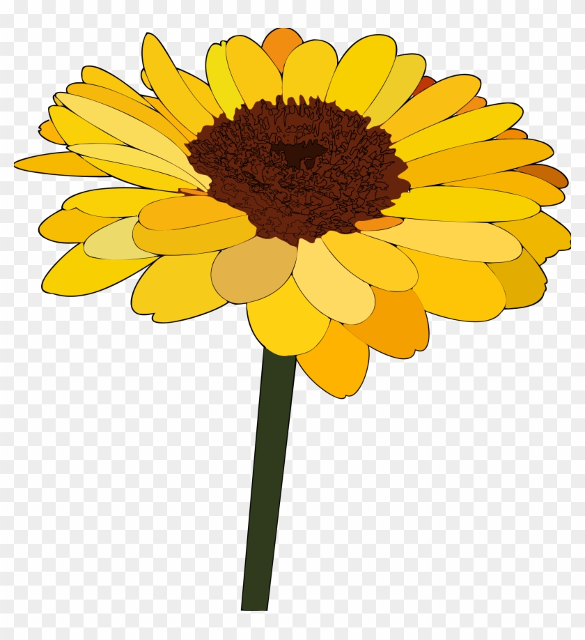 Sunflower vectors photos.
