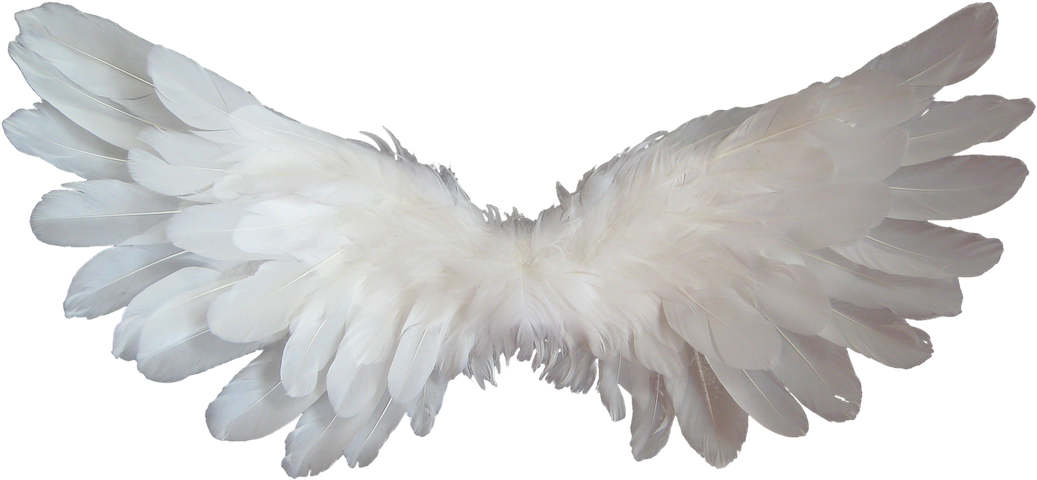 White angel wings.