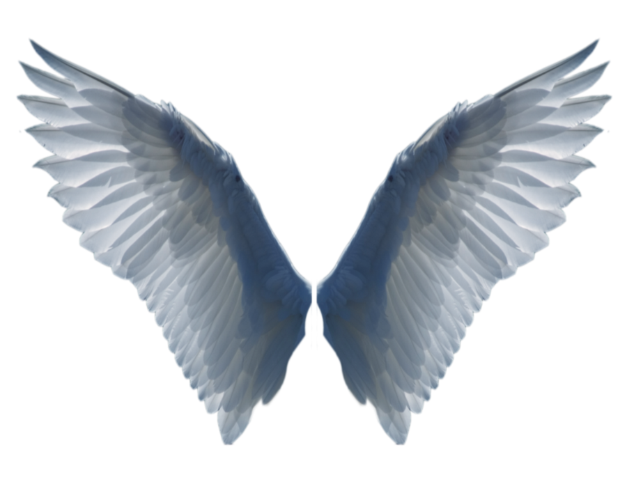 Wing clipart aesthetic.