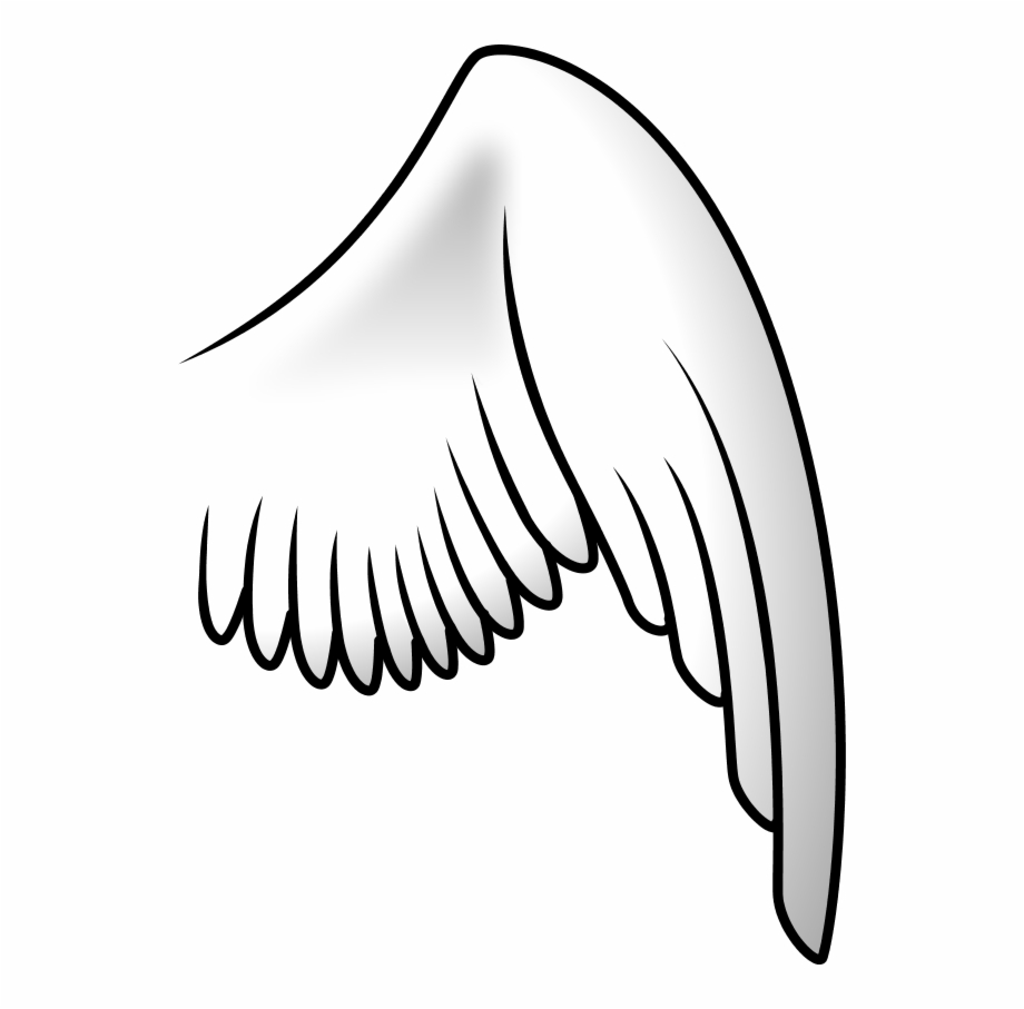Angel wing right.