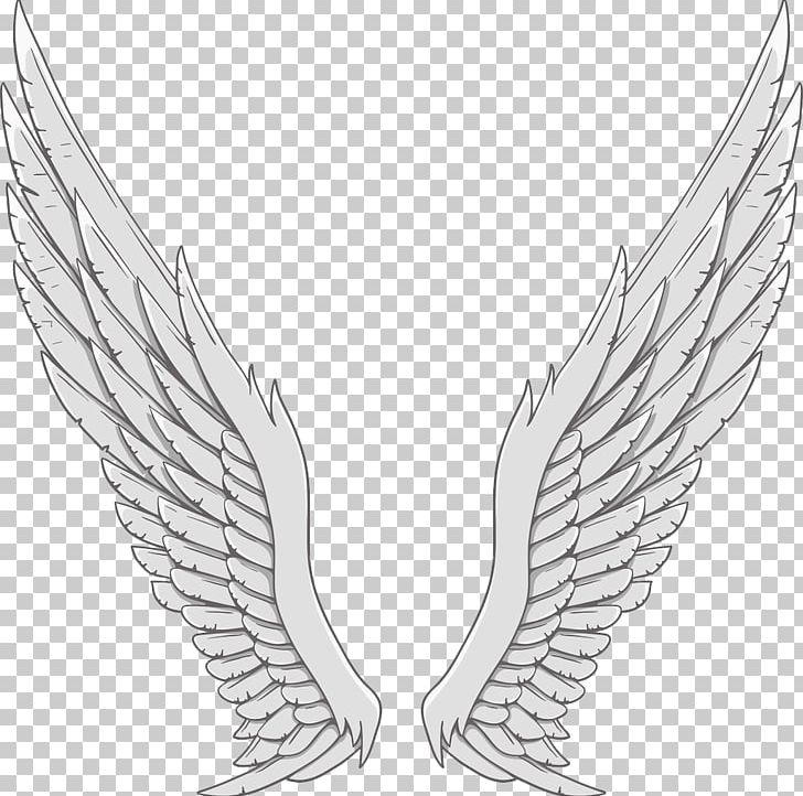 Angel wing white.