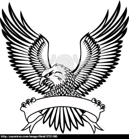 Black Eagle Logo With White Lines