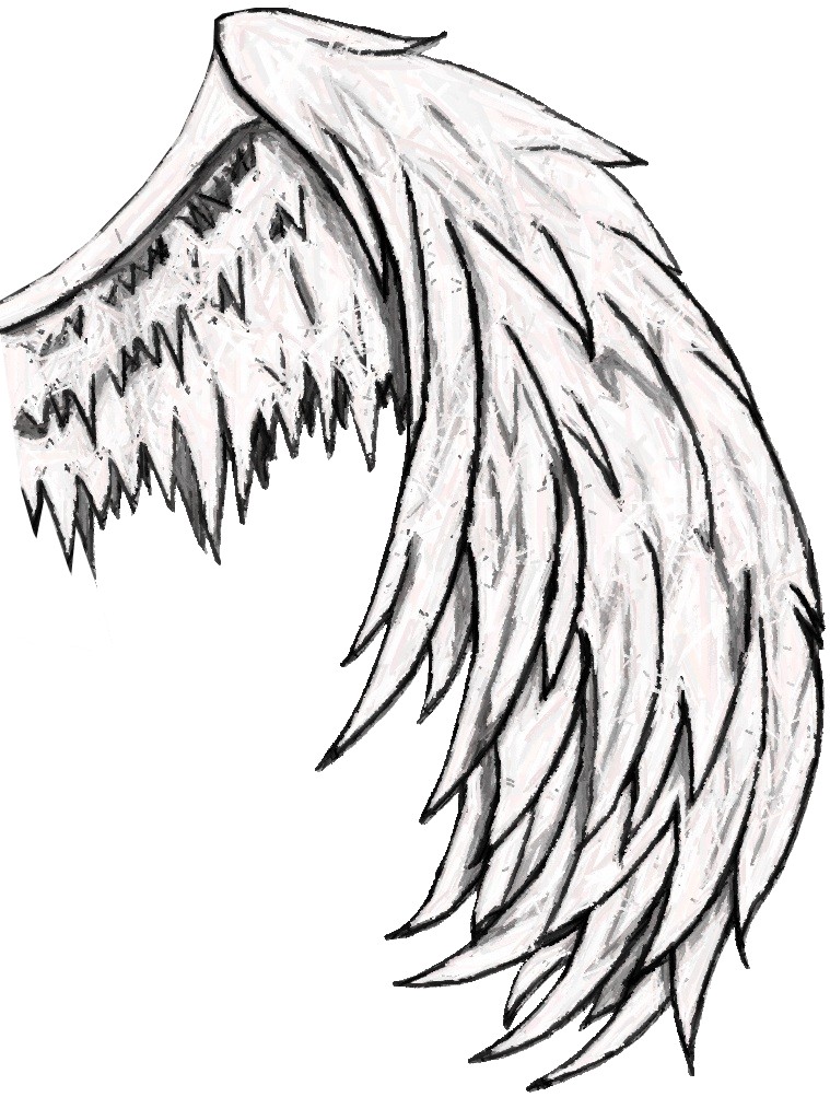 clipart wing drawn