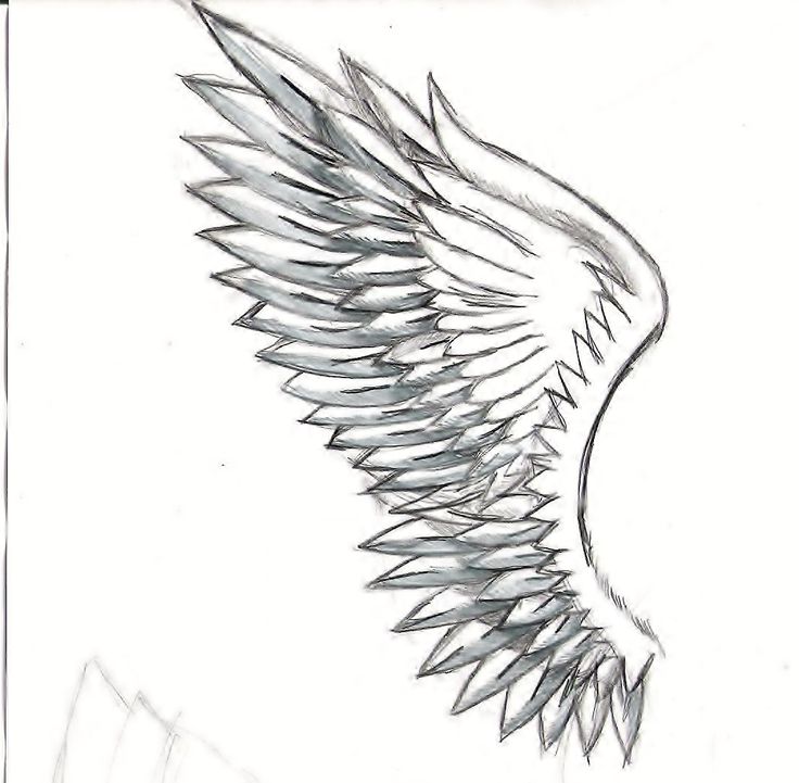 Wings drawing clipart.