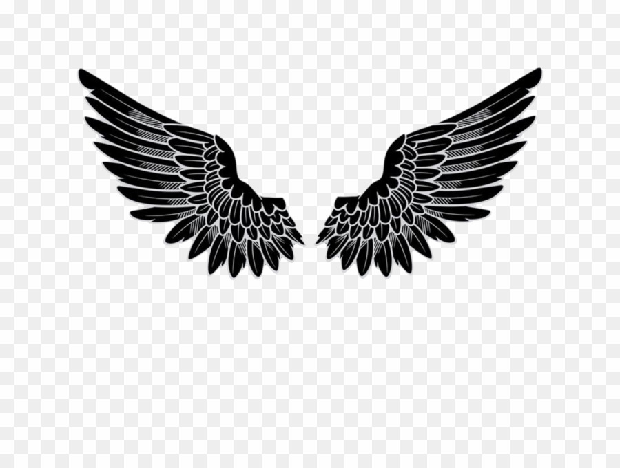 Wings logo png.