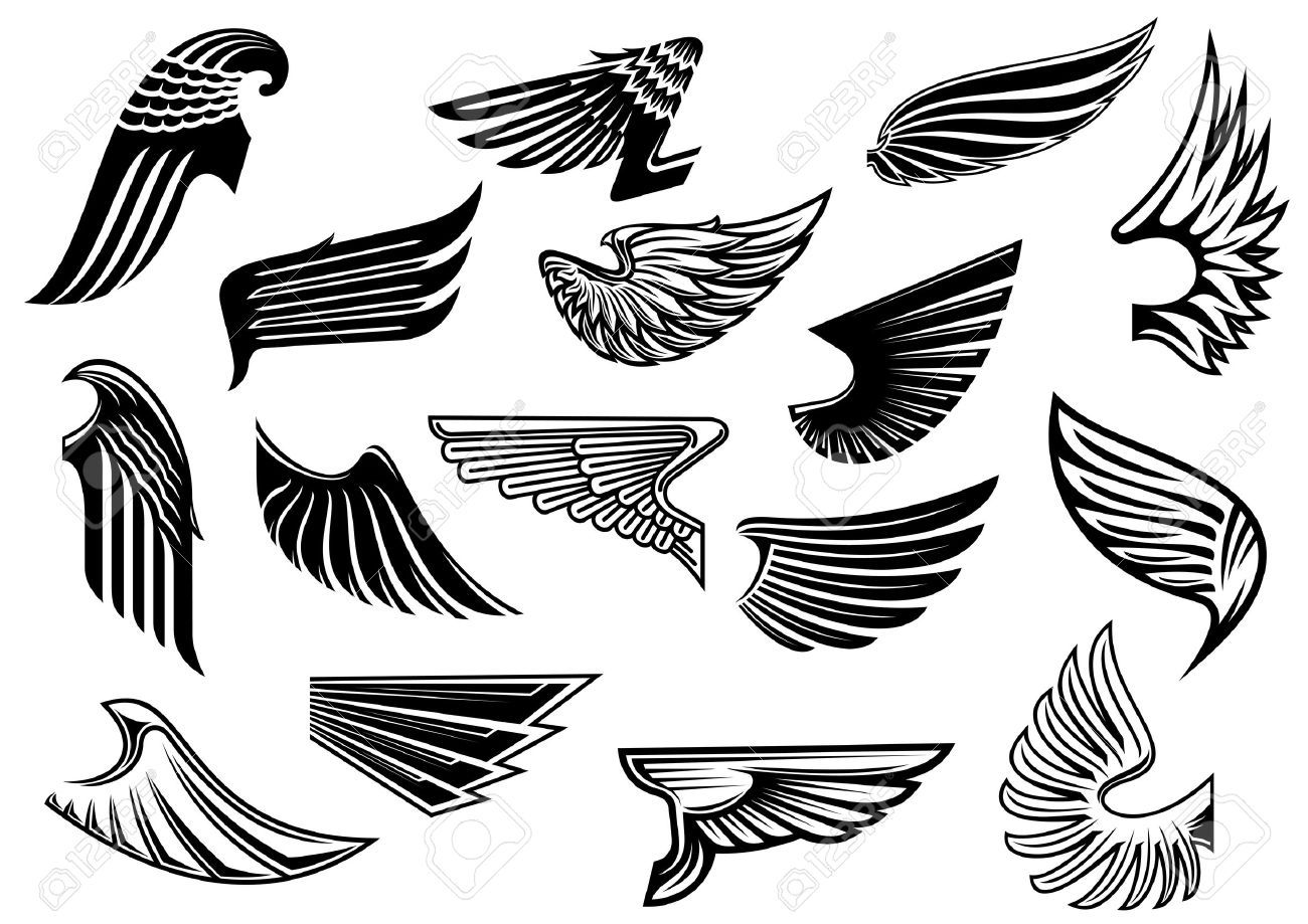 Hawk logo stock.