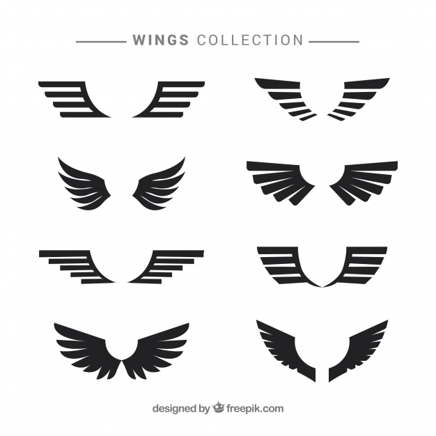 clipart wing modern