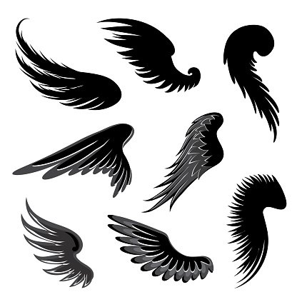 Wings silhouette vector.