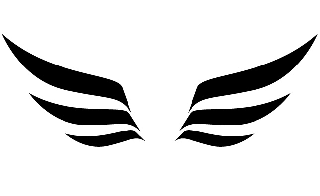 Simple Wing
