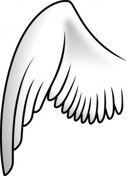 Simple wings clipart.