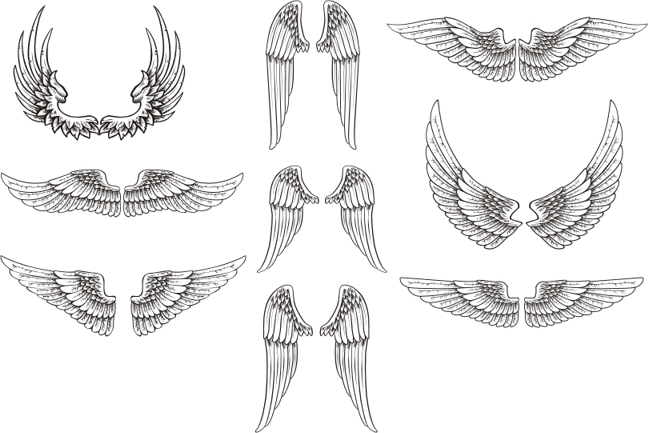 Free Wing Vector, Download Free Clip Art, Free Clip Art on