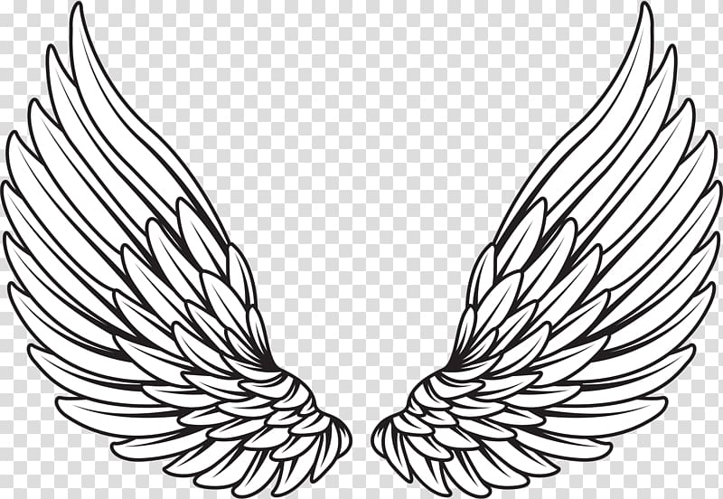 Pair of white wings illustration, Drawing , wings angel