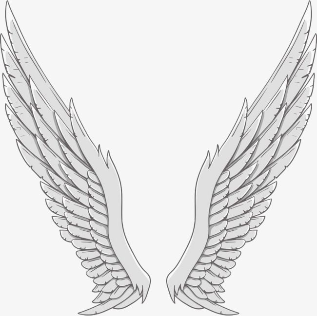 Silver angel wings.