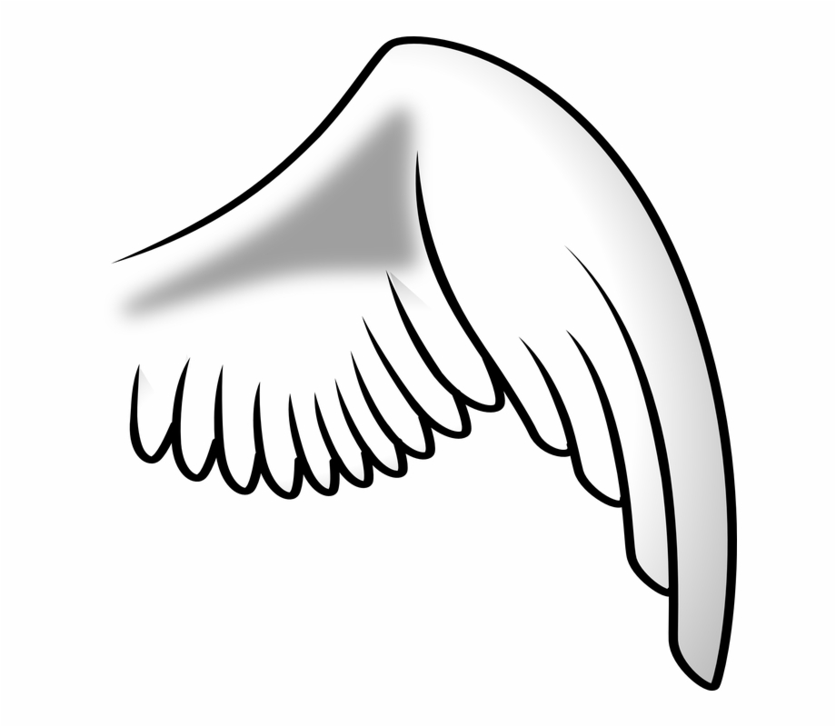 Bird Wing Black And White Clipart, Transparent Png Download