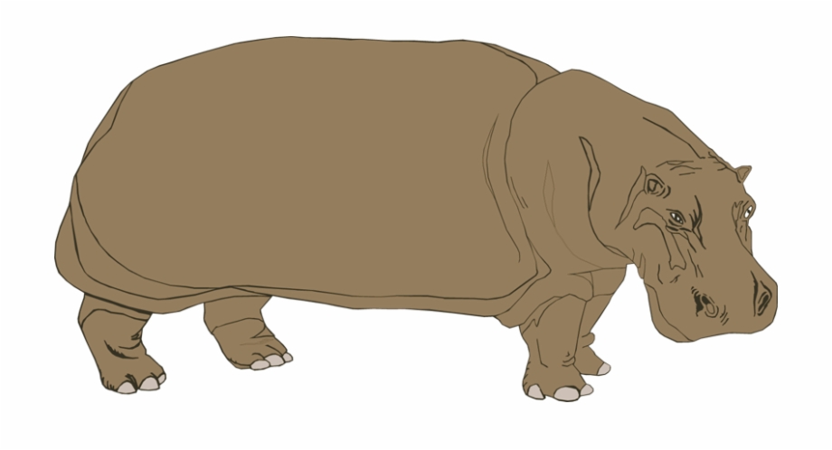 Hippopotamus clipart clipart.