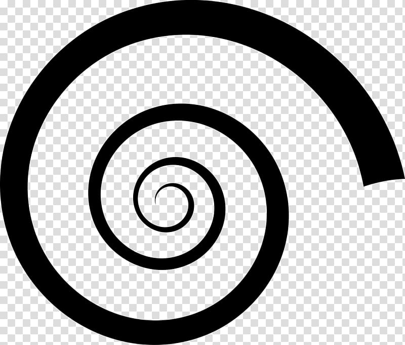 Spiral silhouette spiral.