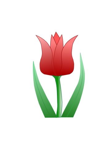 Tulipan kwiat wektor clipart
