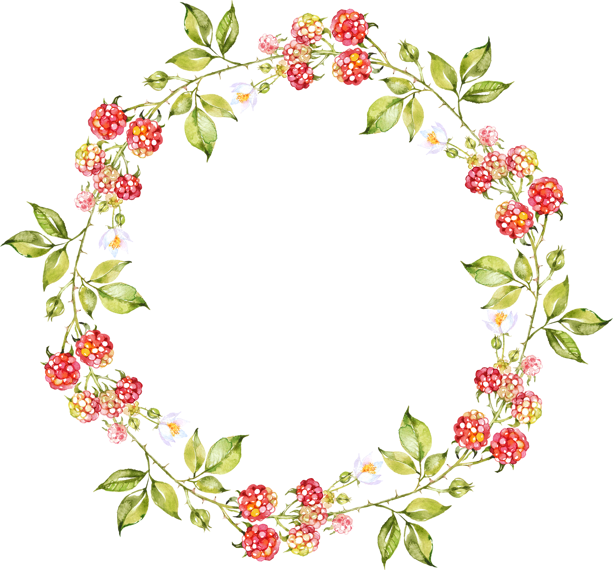 Oval clipart floral.